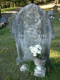 image of grave number 204478